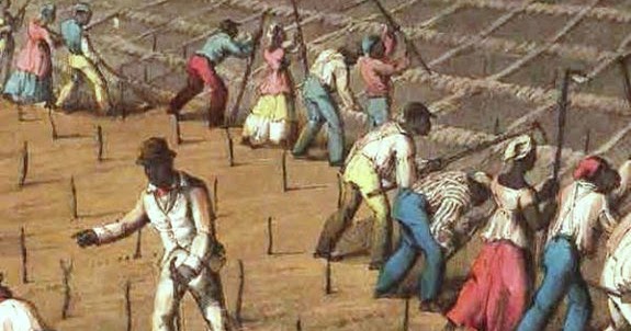 Essays on the transatlantic slave trade