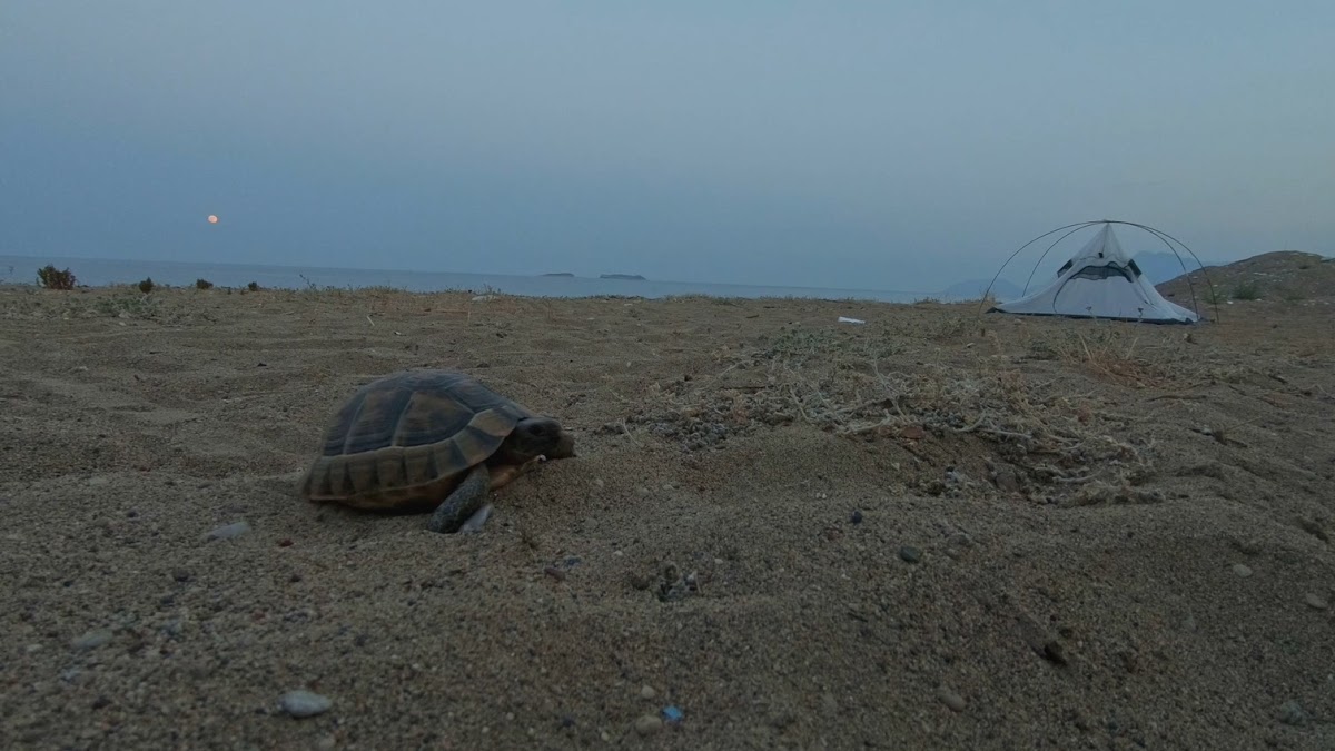 Большое путешествие по Турции автостопом 2019 Большое путешествие по Турции автостопом 2019