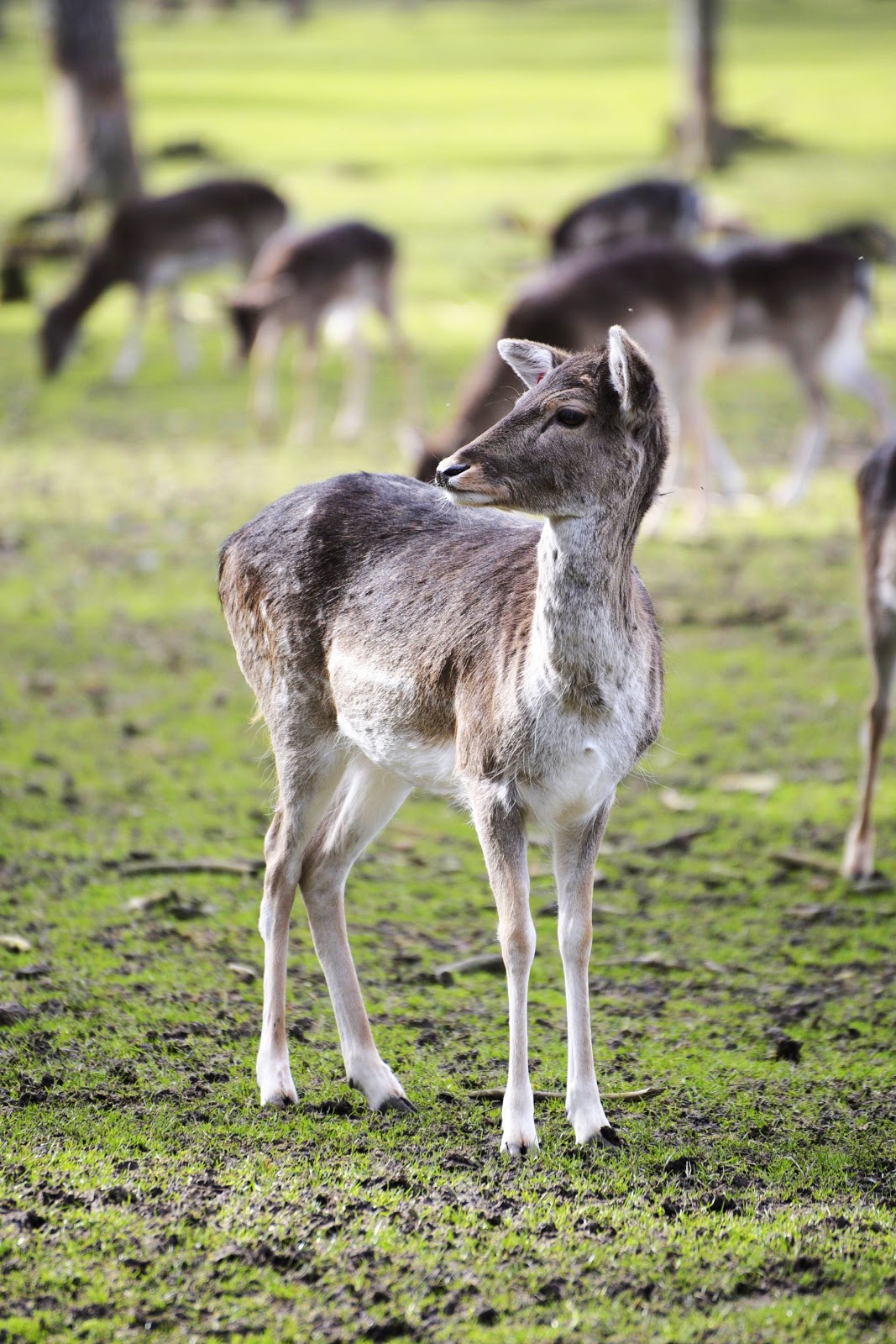 Kustenkidsunterwegs Ein Inselausflug Nach Kegnaes