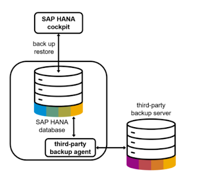 SAP HANA Backup, SAP HANA Tutorial and Materials, SAP HANA Learning, SAP HANA Certifications, SAP HANA Exam, SAP HANA Online Exam, SAP HANA Prep