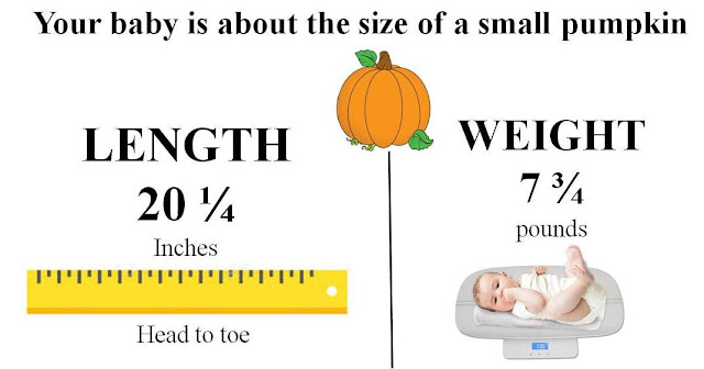 Fetus growth chart during third trimester