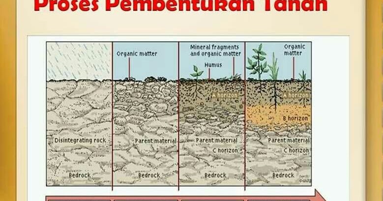 Proses Pembentukan Tanah Faktor Dan Jenis Tanah Portal Kelas