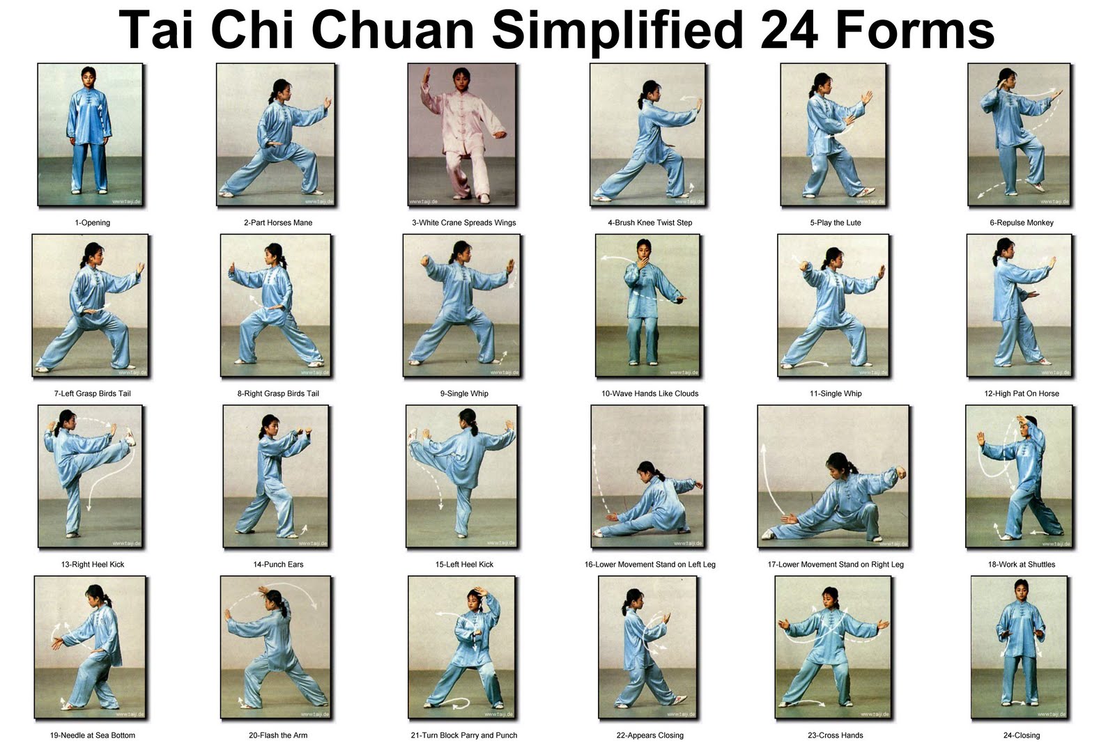 Sports fresh Tai Chi For Beginners