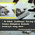 Ya Allah Sedihnya, Kucing Ini Usaha Hidupkan Semula Anaknya Yang Mati