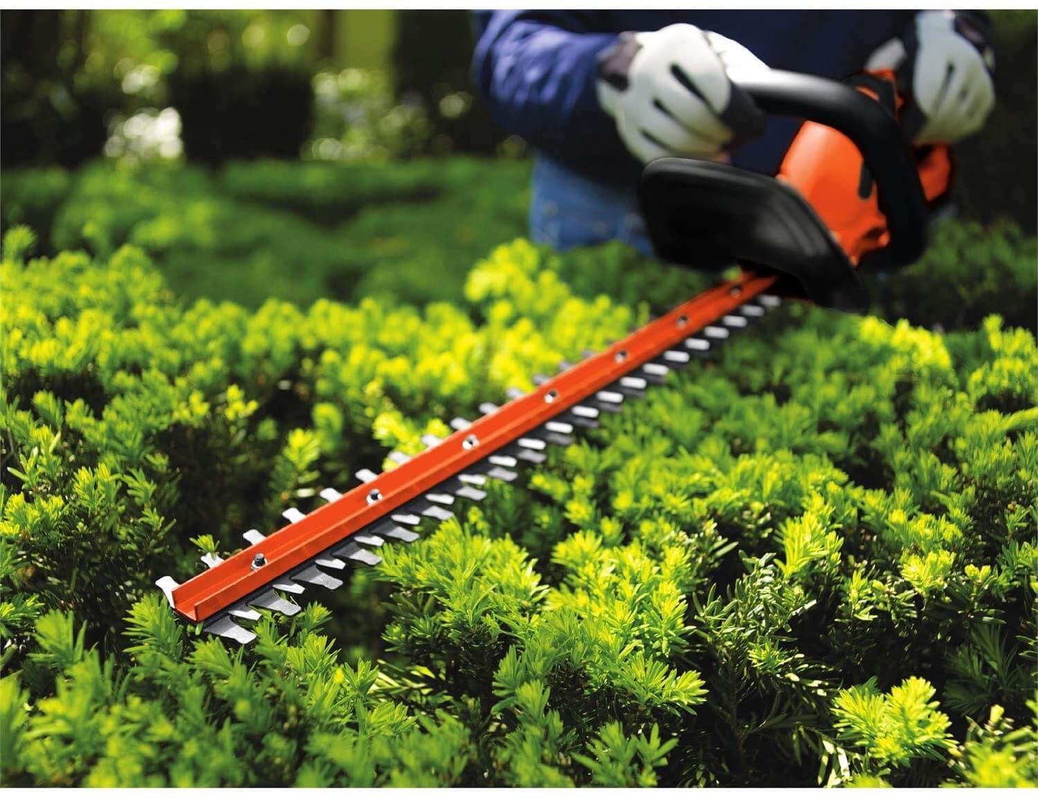Best Value Hedge Trimmer Best Hedge Trimmer