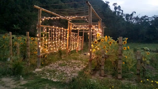 Bukit Gondang Wisata Baru di Desa Sambirata Kecamatan Cilongok Bukit Gondang Wisata Baru di Desa Sambirata Kecamatan Cilongok