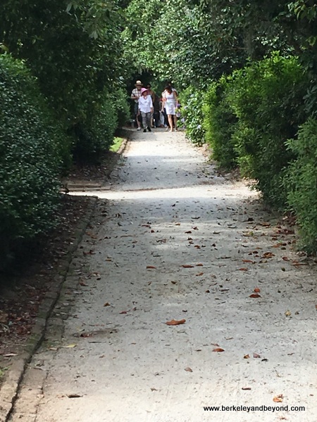 The Gardens at Middleton Place plantation in Charleston, South Carolina The Gardens at Middleton Place plantation in Charleston, South Carolina