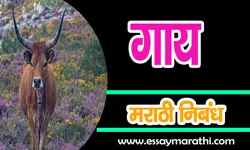 cow-essay-in-marathi