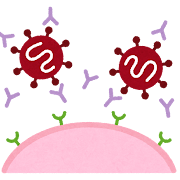 ウイルスと抗体のイラスト