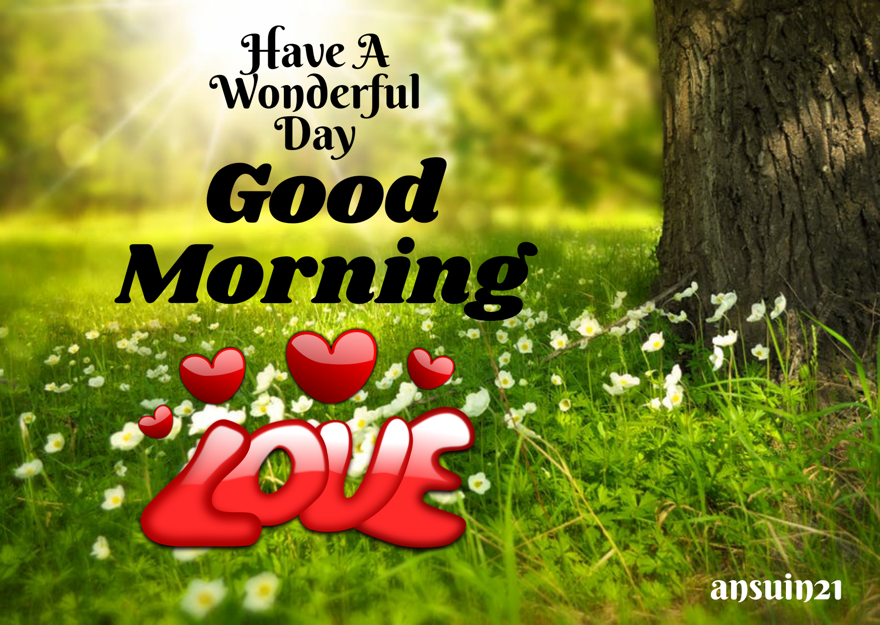 Best Good Morning HD Images for whatsaap free download, Romantic Good Morning English Status, Love Good Morning HD photos,
