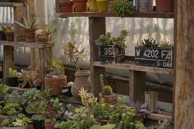 Container Garden