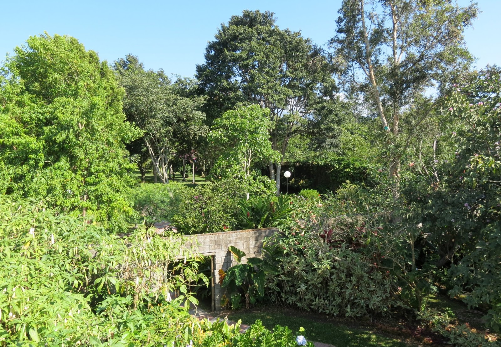 Hotel Bougainvillea, Santo Domingo de Heredia, Costa Rica Travels