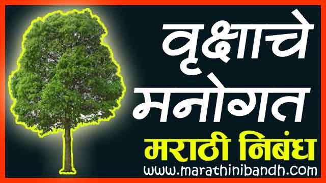 Essay on pariksha nasti tar 05 picture