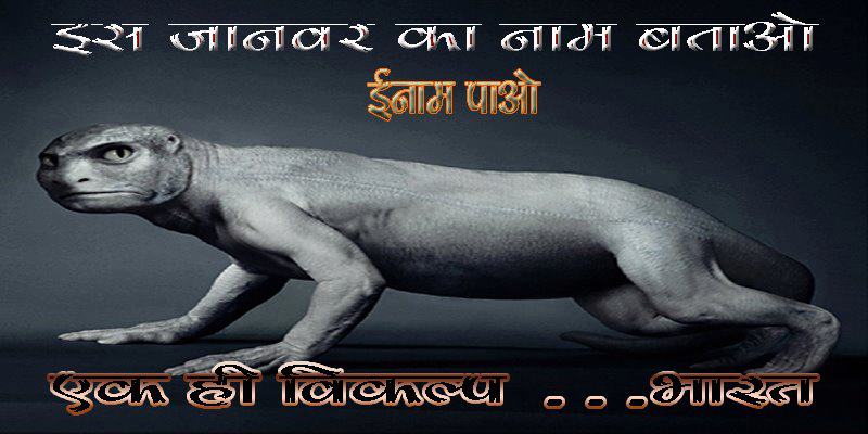 QUOTES , POEMS & SAYINGS: DO U KNOW THIS ANIMAL