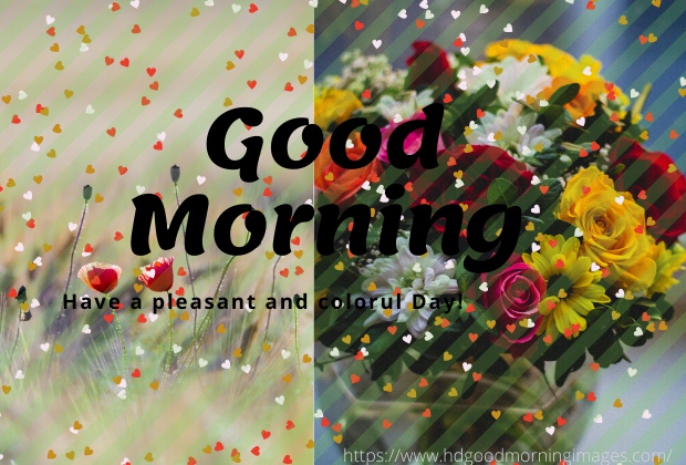 good morning i love you good morning i love you
