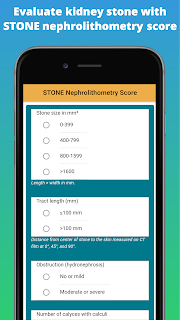 Evaluate kidney stone with STONE nephrolithometry score