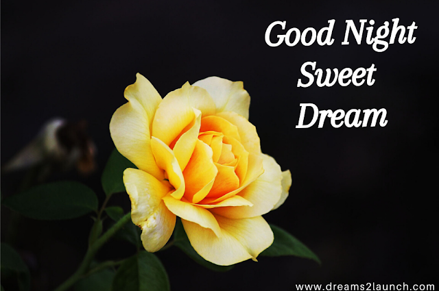good night rose pic good night rose pic