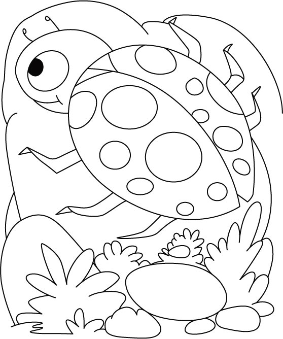11 Printable Ladybug Coloring Pages For Free