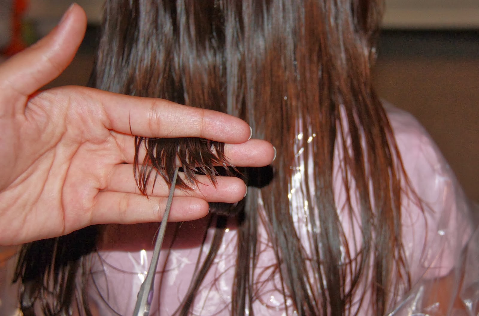 HOW TO Do A Quick Hair Trim The Lovebugs Blog