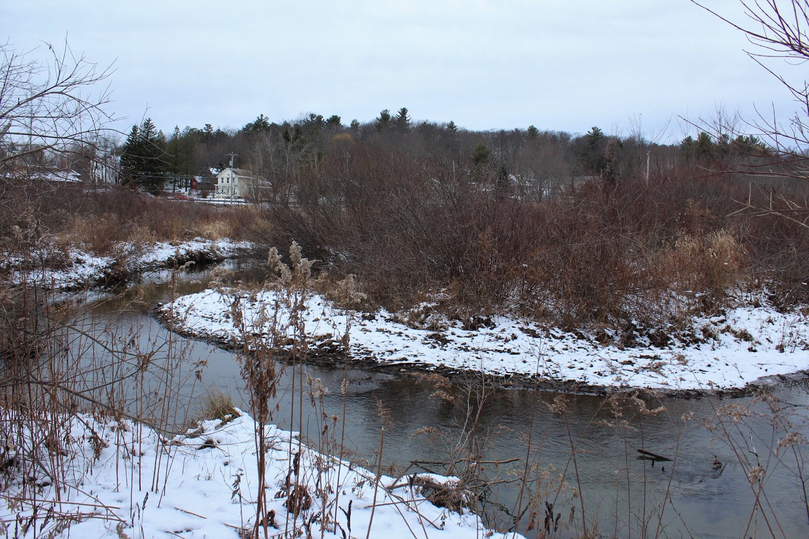 Walking Man 24 7 Town of Sand Lake Walking Trail(Sand Lake, Rensselaer