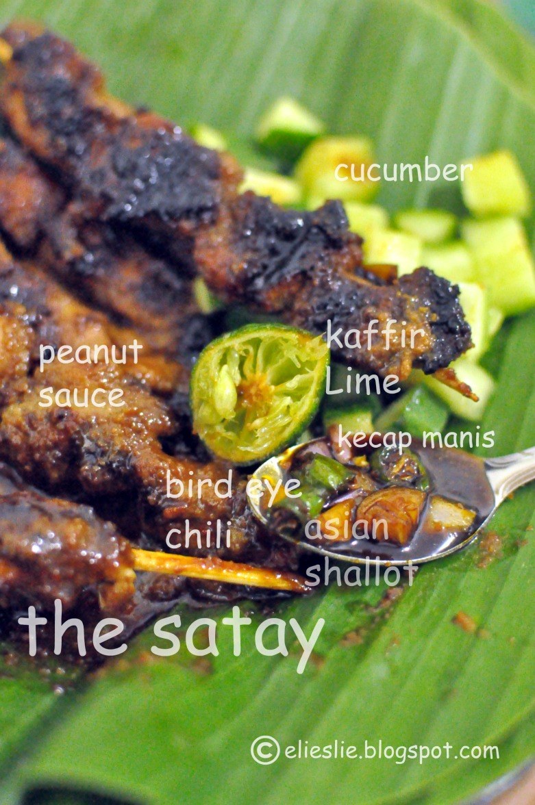 Give Thanks Chicken Satay Indonesian Chicken Satay with Spicy Peanut Sauce