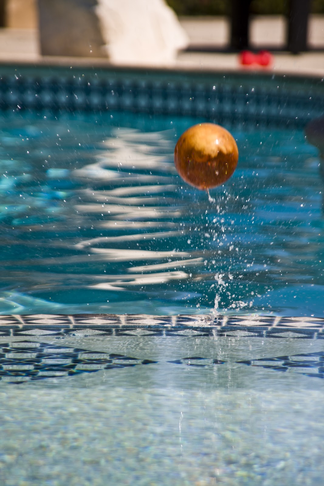 Offshore Winds John Connor The Tentative Swimming Beagle