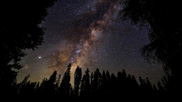 Milky Way Night Sky Forest screen background