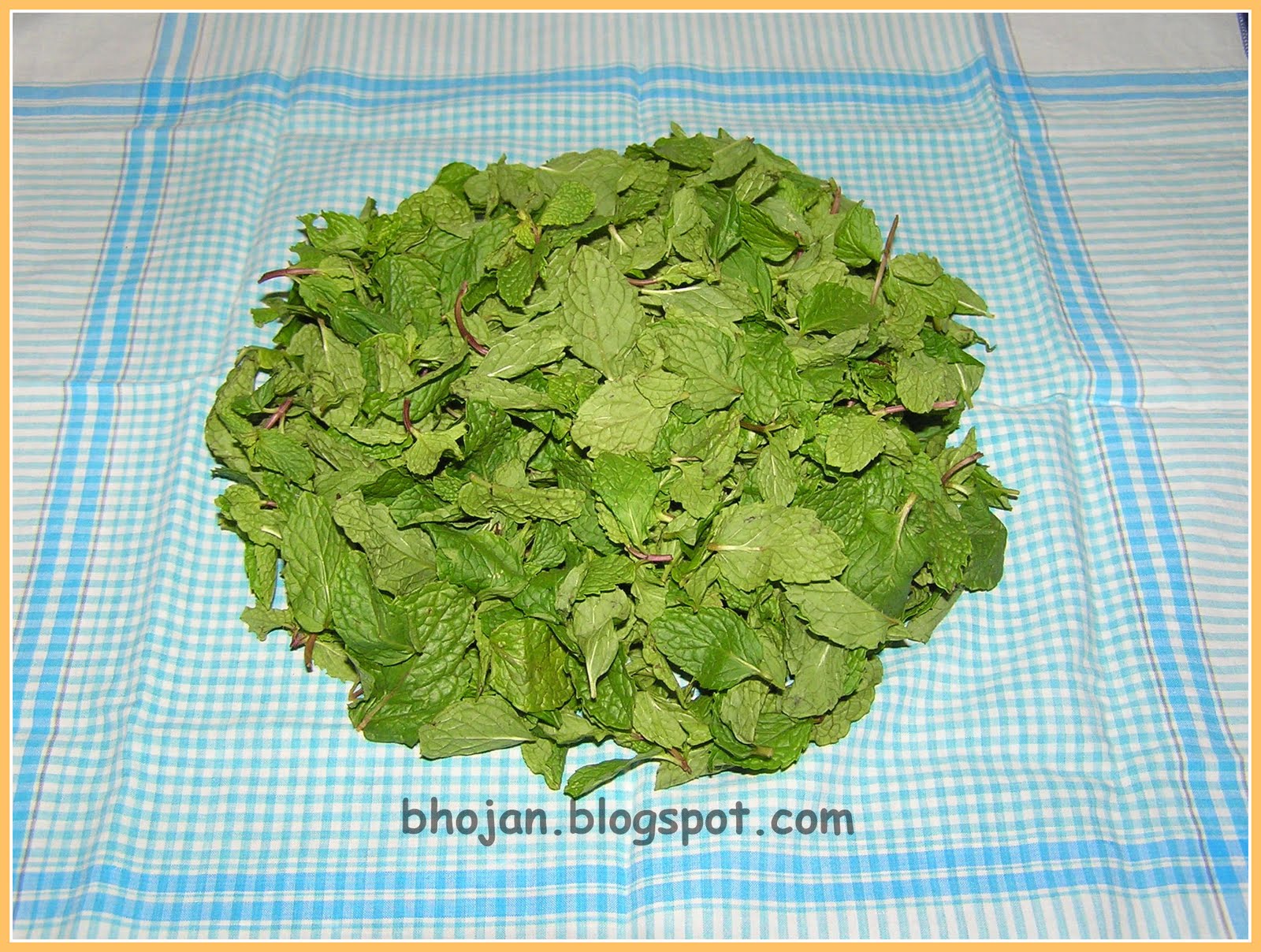 Bhojan Step by Step Demo How to store Mint Leaves?