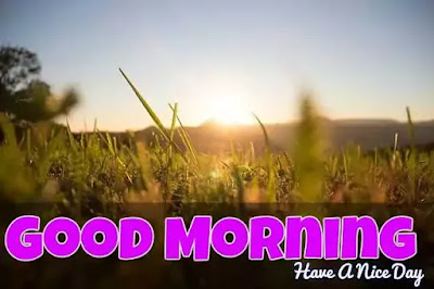 Good Morning Images Good Morning Images