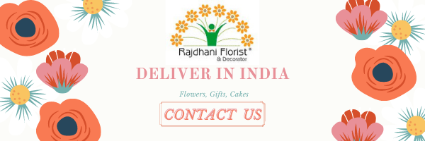 Flower, Gifts Cakes deliver in India book online