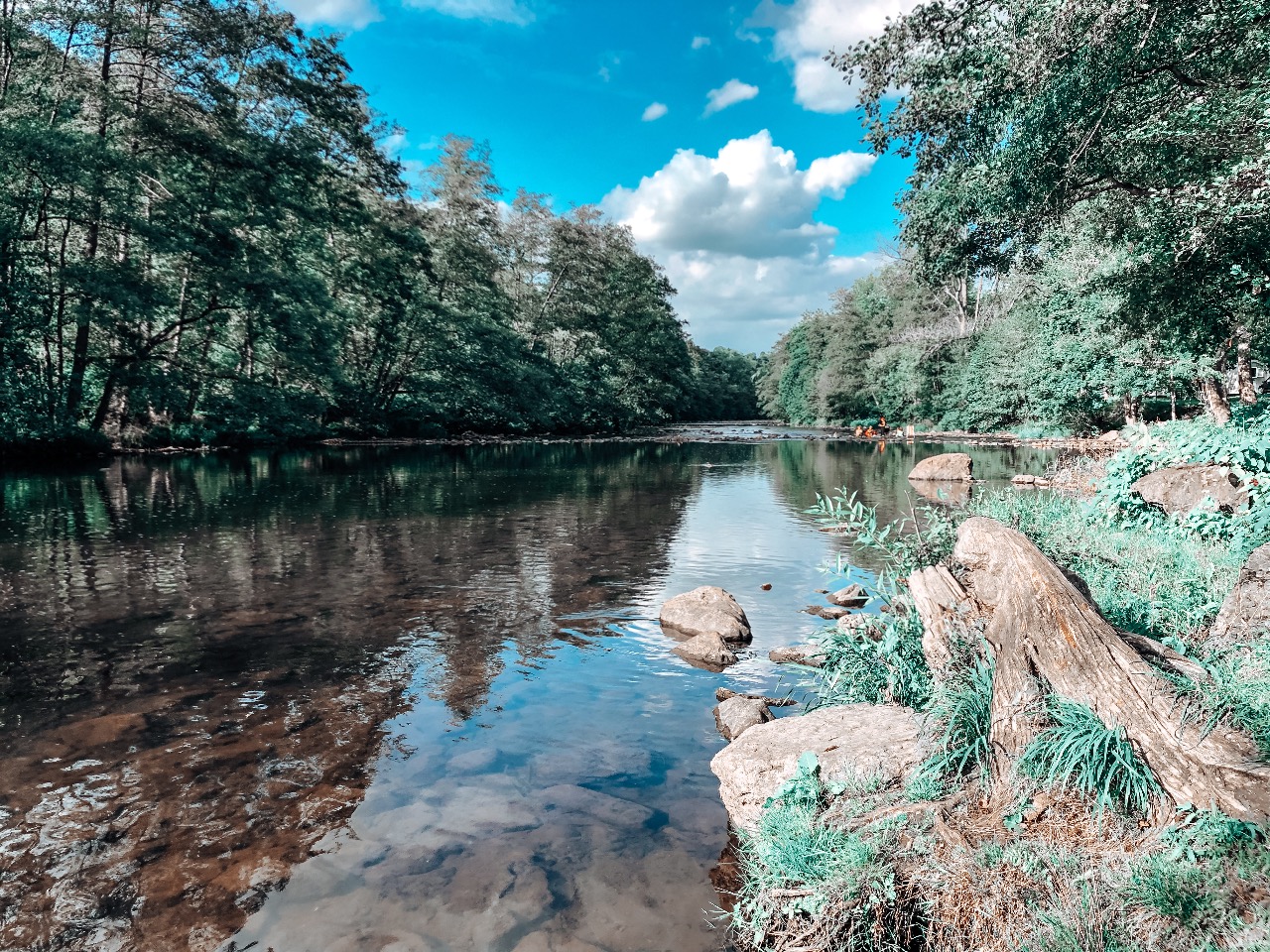 week foto's beek camping week foto's beek camping