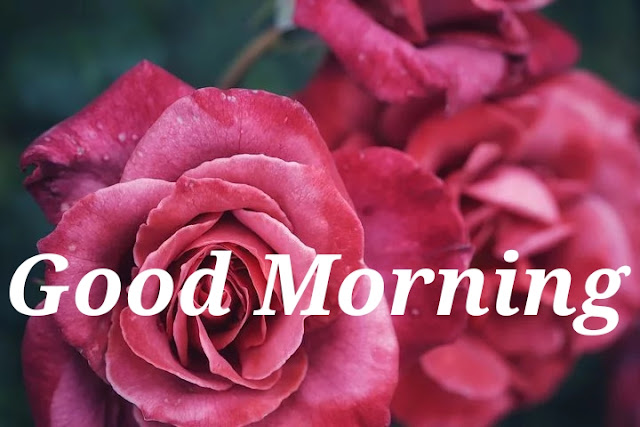 Good Morning. Good Morning.
