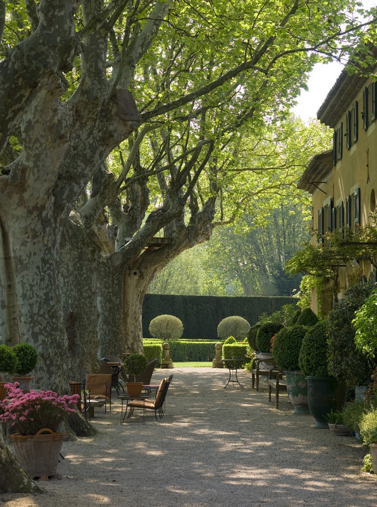 A beautiful formal French courtyard with mature trees and manicured hedges. Romantic French Country Garden Courtyard Ideas. #french #garden #courtyard #provence