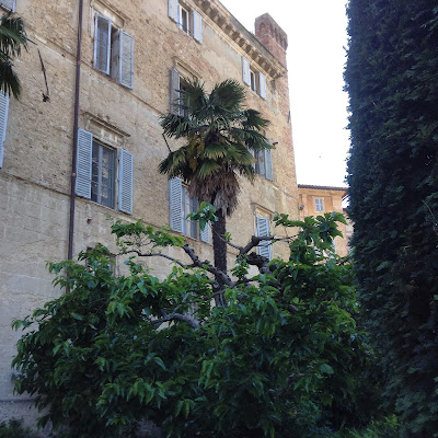 Siena: giardino storico in Via Lucherini