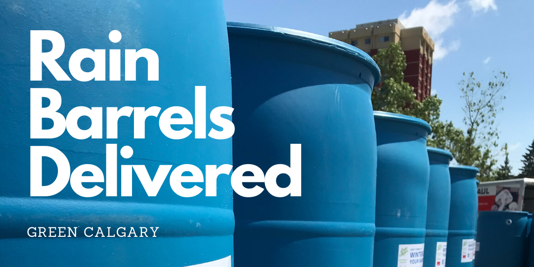 Don't Be an April Fool, Get your Rain Barrel Today Green Calgary