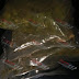 Asegura SSP a uno en posesión de envoltorios con marihuana, en Chavinda