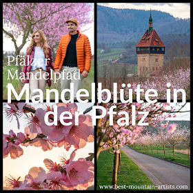 Pfälzer Mandelpfad | Etappe 05 Edenkoben – Birkweiler | Wandern Südliche Weinstraße | Mandelblüte Pfalz 24