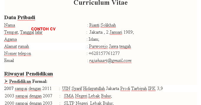 Contoh CV Curriculum Vitae Bahasa Indonesia Yang Baik Dan 