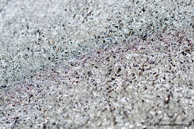 School Of Digital Photography DIY Portable Light Reflector for Photography