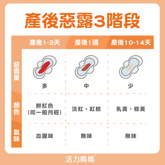 產後惡露3階段，紅惡露、漿性惡露、白惡露