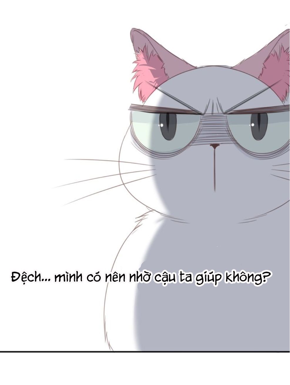 Đọc truyện Thế giới của một chú mèo - Chapter 13