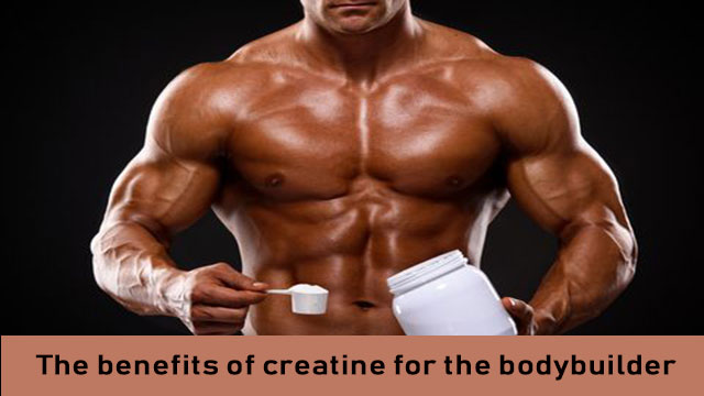 The Benefits Of Creatine For The Bodybuilder Demo5 Images, Photos, Reviews
