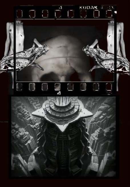 The Thing Next Door 2019