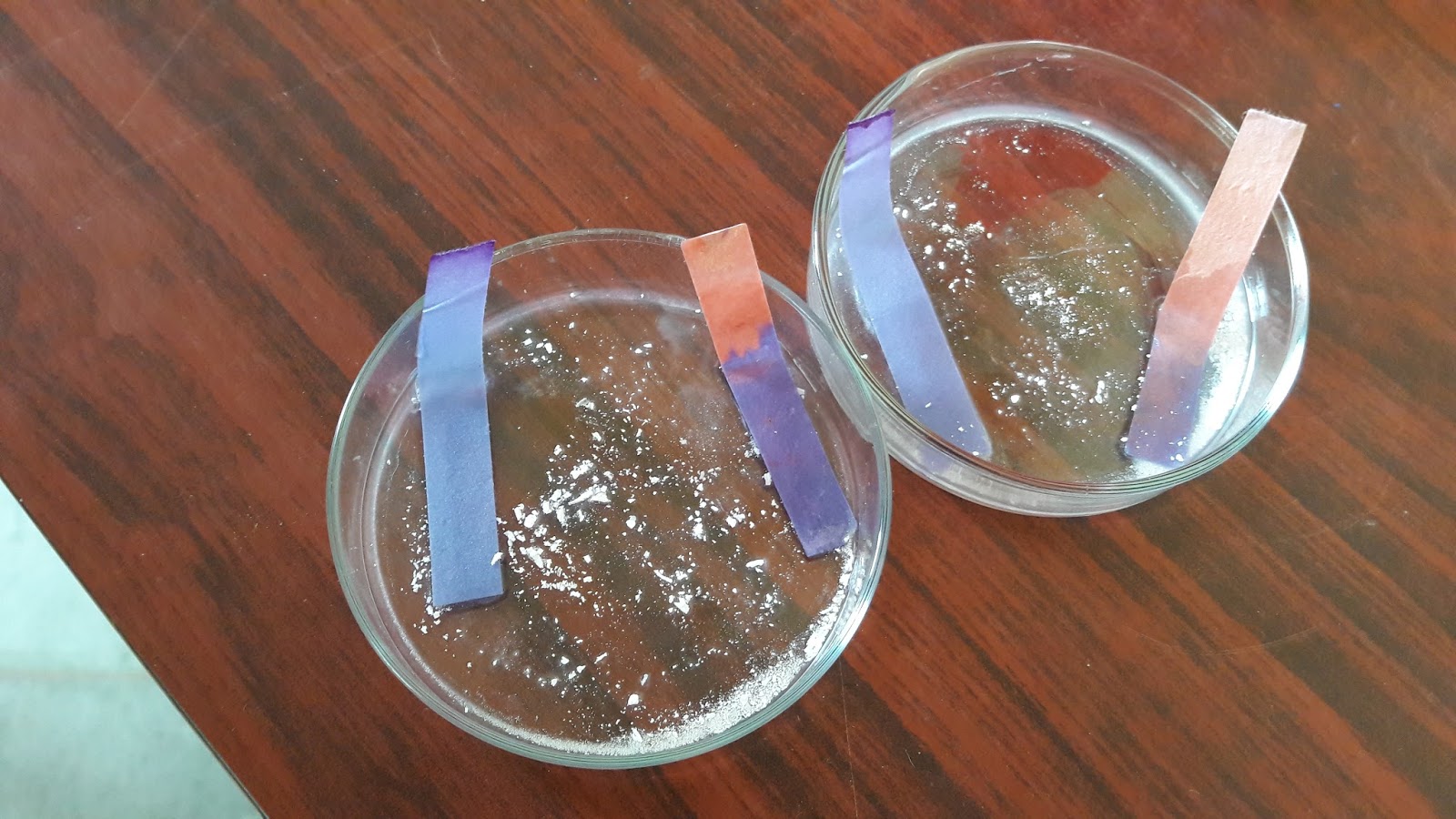 science practicle magnesium oxide testing for acidic
