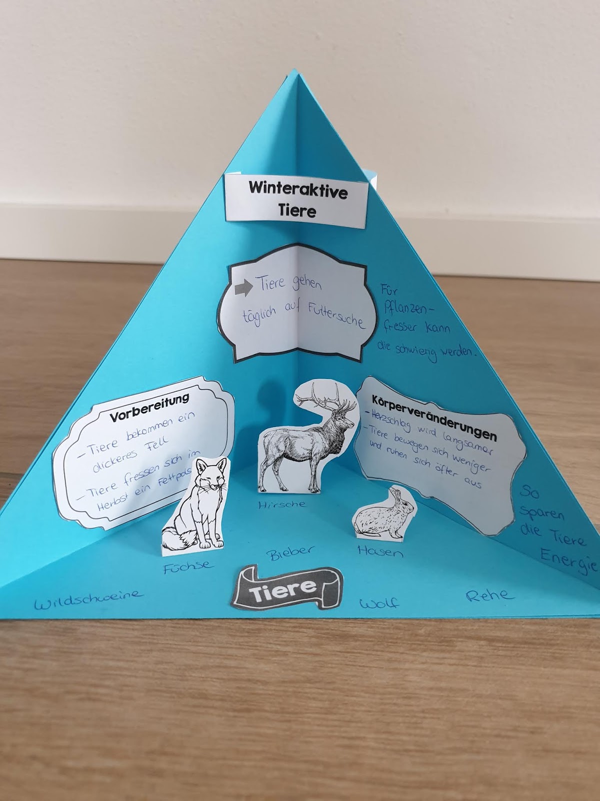 Grundschultante Quadrama Tiere Im Winter