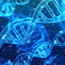 Is being a highly sensitive person genetic?