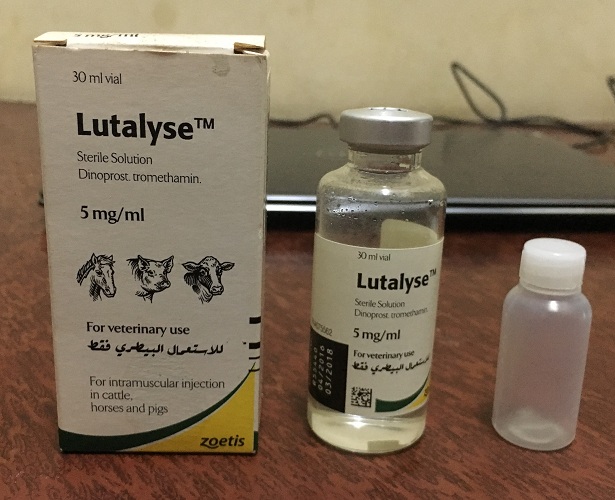 Lutalyse Zoetis Làm Tiêu Thể Vàng và Thúc Đẻ 2 ML Chiết Lẻ