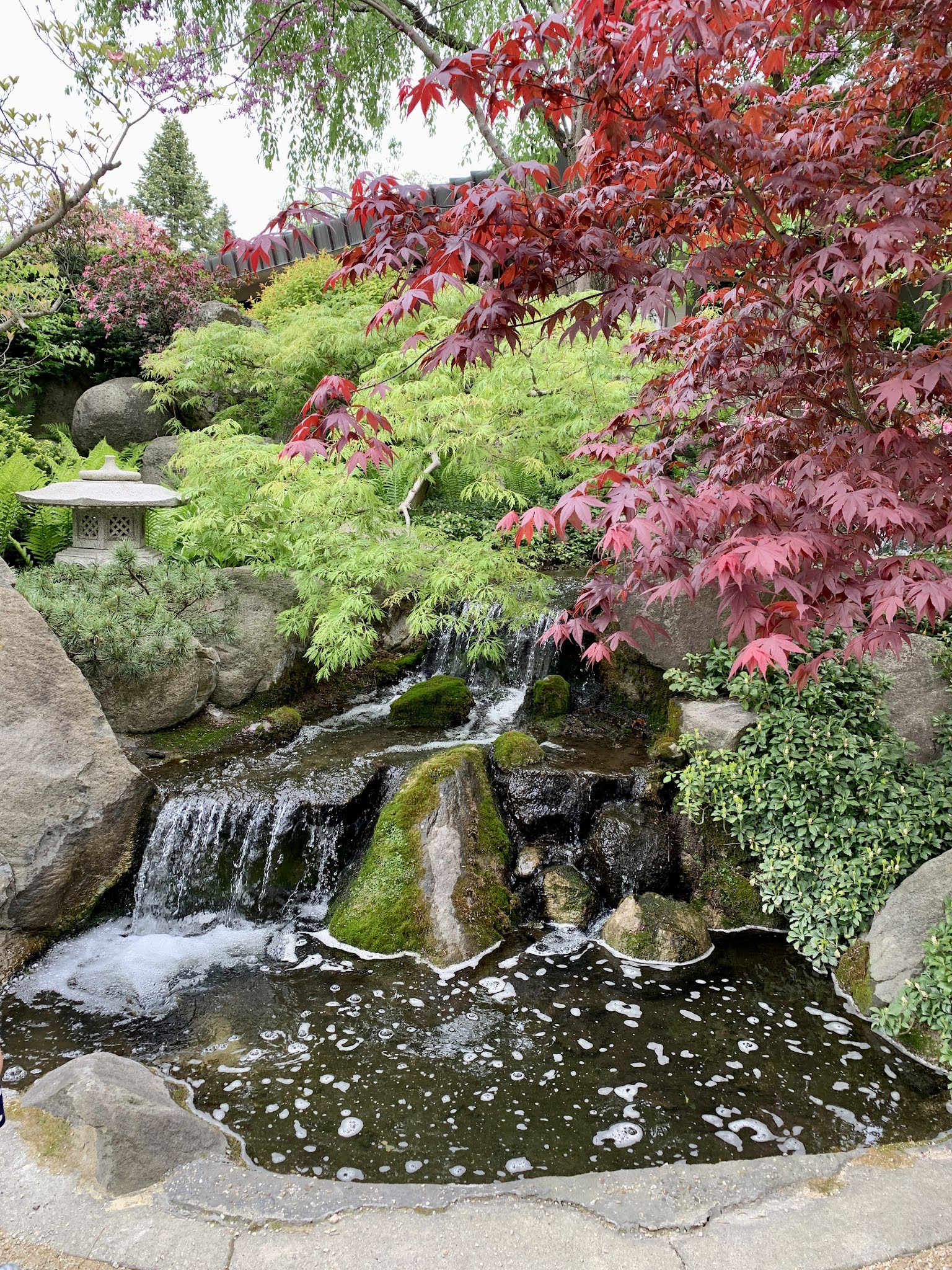 Amy's Creative Pursuits Anderson Japanese Gardens