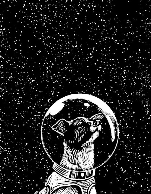 Buenas noches, Laika y la conquista del espacio