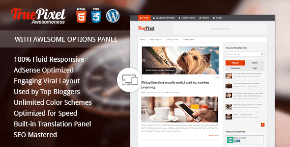 Truepixel – Responsive & Felixble WordPress Blog Theme